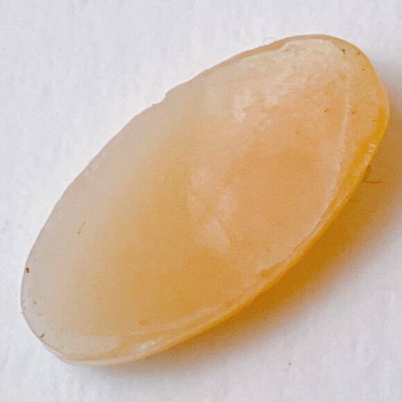 VTG 30s - 40s Shell Cameo Cabochon Hand Carved Portrait Jewelry Making Component - Picture 9 of 11